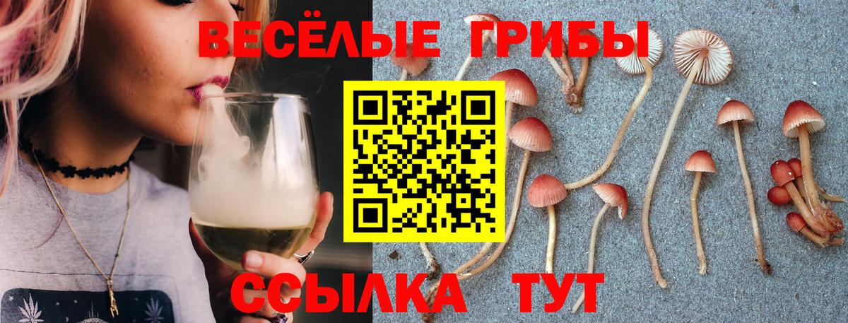 Галлюциногенные грибы мухоморы  Вход с VPN  Батайск 