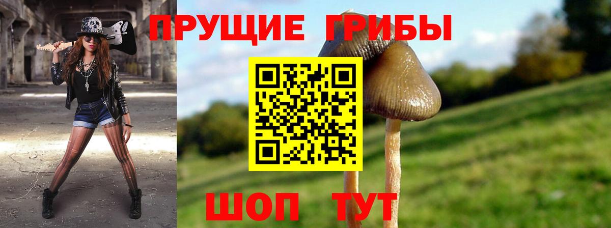 Псилоцибиновые грибы Cubensis Батайск